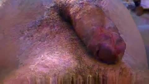 lb_38 online show from 11.04.25