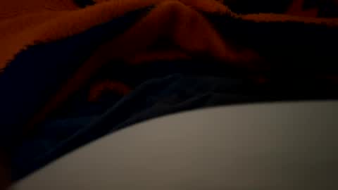 Snapshot of lc6173 chatting on 02.04.25 lc6173 online show from 02.04.25