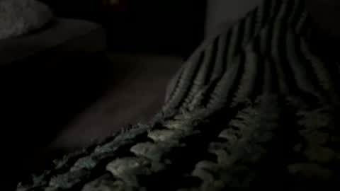 Snapshot of lc6173 chatting on 12.15.25 lc6173 online show from 12.15.25