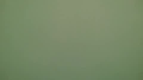 Snapshot of lechiffre1205 chatting on 11.28.25 Michel online show from 11.28.25