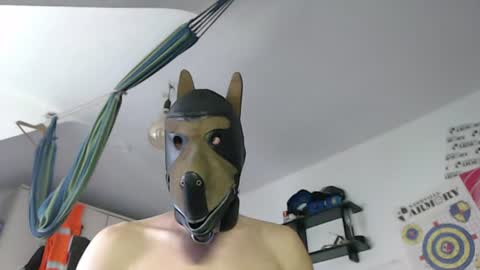 Leather Dog online show from 07.08.26
