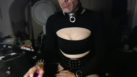 Leather Dog online show from 08.06.26