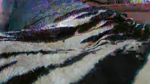 ledmax07 online show from 04.13.26