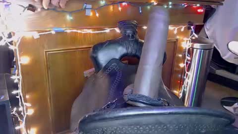 Lee Cox online show from 11.08.25