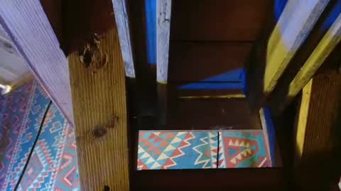 Snapshot of lefrancais33000 chatting on 12.19.24 Dliciousman online show from 12.19.24