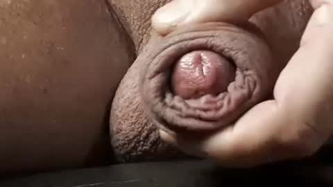 Snapshot of legofactory chatting on 02.13.25 legofactory online show from 02.13.25