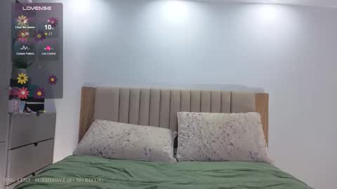 Snapshot of lena_slaave chatting on 11.27.25 Lena online show from 11.27.25