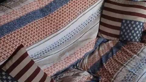 Segaiolo..... online show from 04.30.26