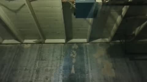 leo199984 online show from 03.25.26