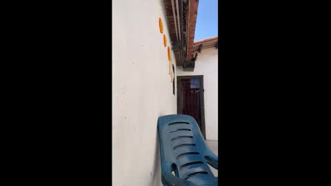 Snapshot of leo_latino1 chatting on 03.09.26 leo_latino1 online show from 03.09.26