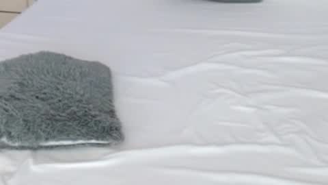 LUCY online show from 02.17.26