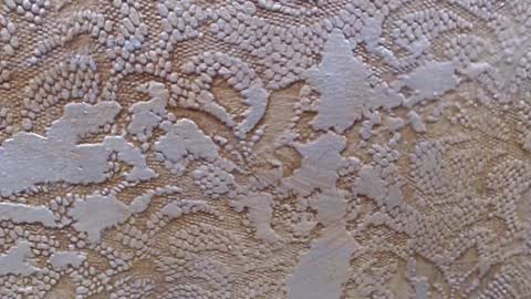 leoroman online show from 02.06.25