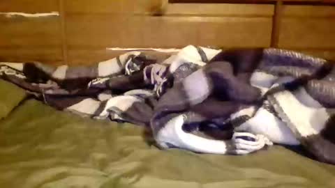 leskator9 online show from 11.07.25