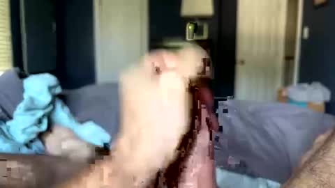 Snapshot of letmecumforyou71 chatting on 09.20.25 letmecumforyou71 online show from 09.20.25