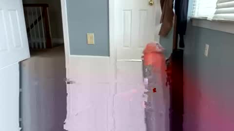 letmecumforyou71 online show from 03.04.26