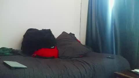 Torres online show from 04.27.26