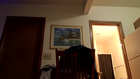 Snapshot of letsplay361 chatting on 03.02.25 letsplay361 online show from 03.02.25