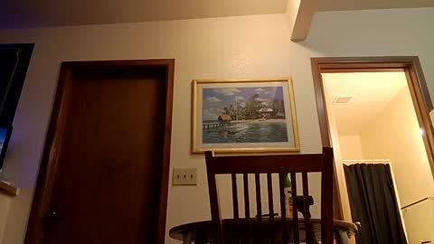 Snapshot of letsplay361 chatting on 03.04.25 letsplay361 online show from 03.04.25