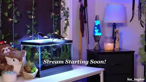 Snapshot of lex_taylor chatting on 01.07.25 Lex online show from 01.07.25