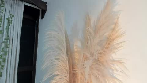 Lia online show from 04.16.26