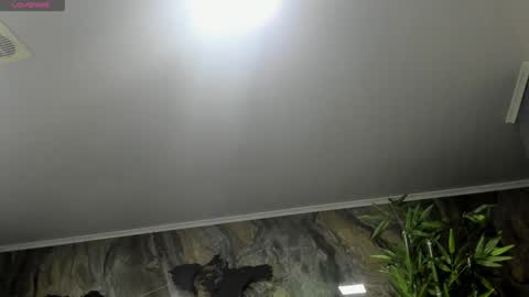 LIAM KLEIN online show from 01.25.25