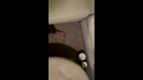 liamleggings online show from 12.01.25