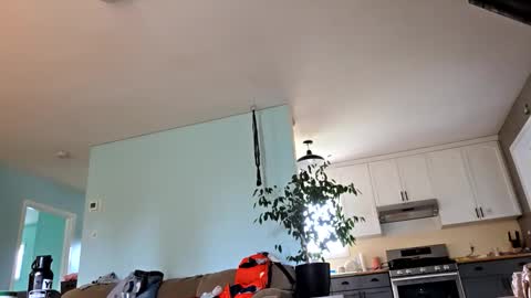 lickurpussygood40 online show from 10.24.25