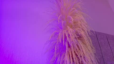 Liiam Luna online show from 04.20.26