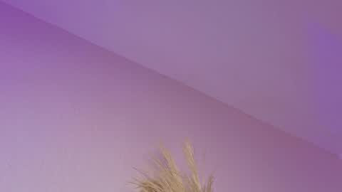 Liiam Luna online show from 04.21.26