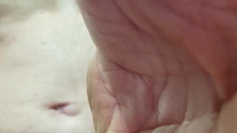 like_fun_ online show from 04.08.26