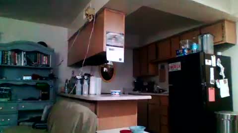 likerightnow online show from 04.02.26