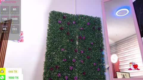   online show from 04.06.26