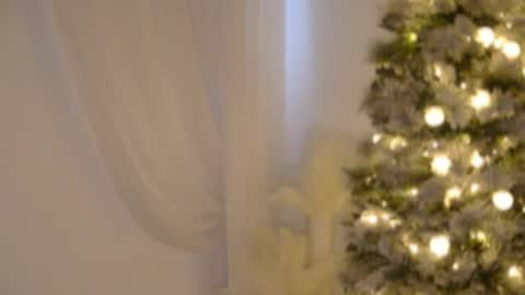 Snapshot of lilbeccaxo chatting on 12.17.25 Rebecca online show from 12.17.25