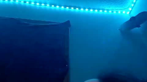 Snapshot of lildman420 chatting on 11.12.25 lildman420 online show from 11.12.25