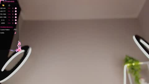 lili__roze_ online show from 01.31.25