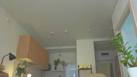 lili__roze_ online show from 04.13.26