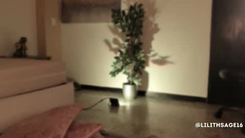 Snapshot of lilith_sage_ chatting on 11.13.25 lilith_sage_ online show from 11.13.25