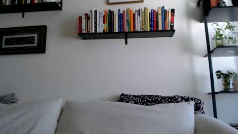 Jay  please help me reach 50 thumbs up online show from 02.21.26