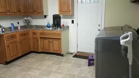 Snapshot of lilly_adams88 chatting on 02.18.26 lilly_adams88 online show from 02.18.26