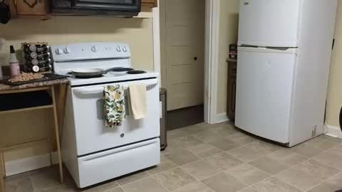 Snapshot of lilly_adams88 chatting on 02.20.26 lilly_adams88 online show from 02.20.26