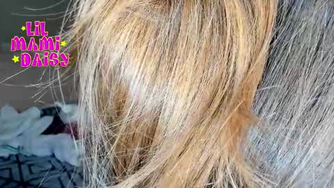 Daisy Bby online show from 03.16.26