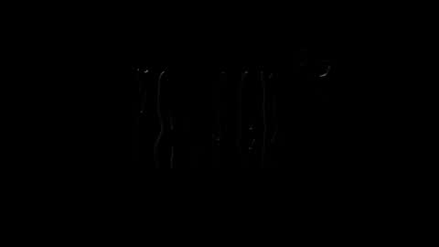 lilpresident online show from 01.23.25