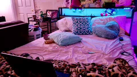 jasmine spunn online show from 01.25.25