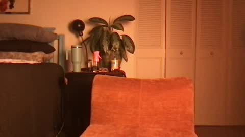 Little Lily online show from 06.19.26