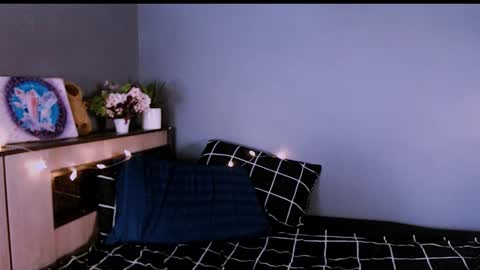 Snapshot of lina2d_tyan chatting on 11.29.25 Lina2D tyan online show from 11.29.25