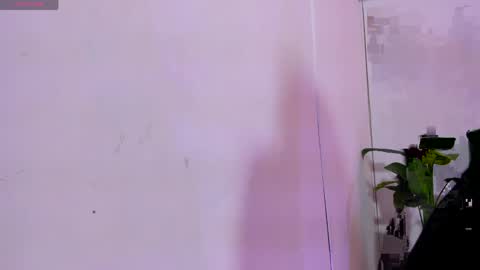 Linda  online show from 04.11.26