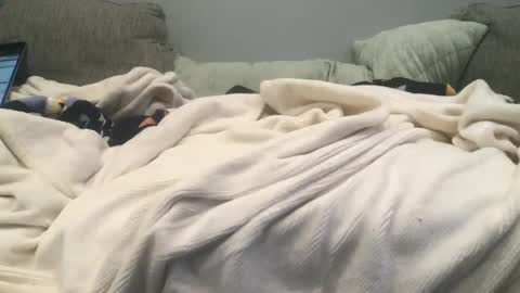 Snapshot of lingeriesissy12 chatting on 02.13.25 lingeriesissy12 online show from 02.13.25