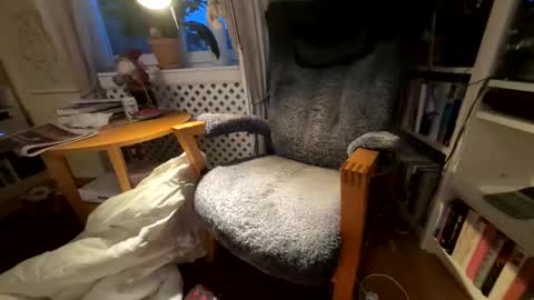 Snapshot of lingonkuk chatting on 11.25.25 lingonkuk online show from 11.25.25