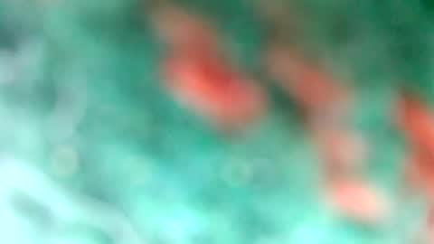 Snapshot of lionelearthquake chatting on 03.11.25 lionelearthquake online show from 03.11.25