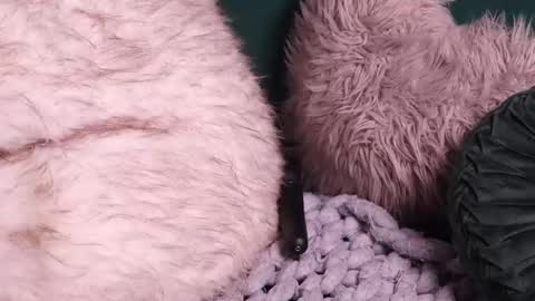 Snapshot of lireesa chatting on 10.02.25 Lire online show from 10.02.25